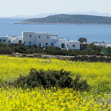 Villa Theros Aliki  Bagian luar foto